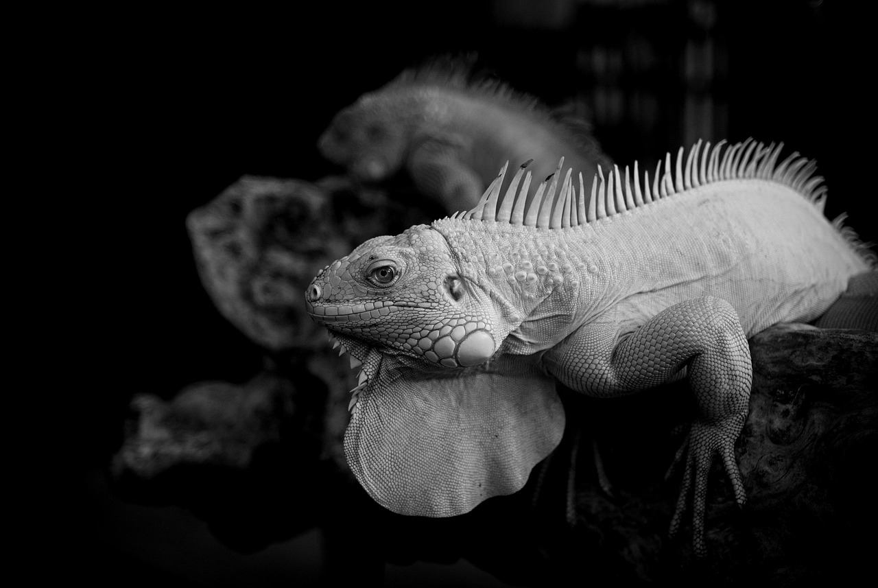 さつまいもと栗きんとんを使ったヘルシーなおやつレシピは？