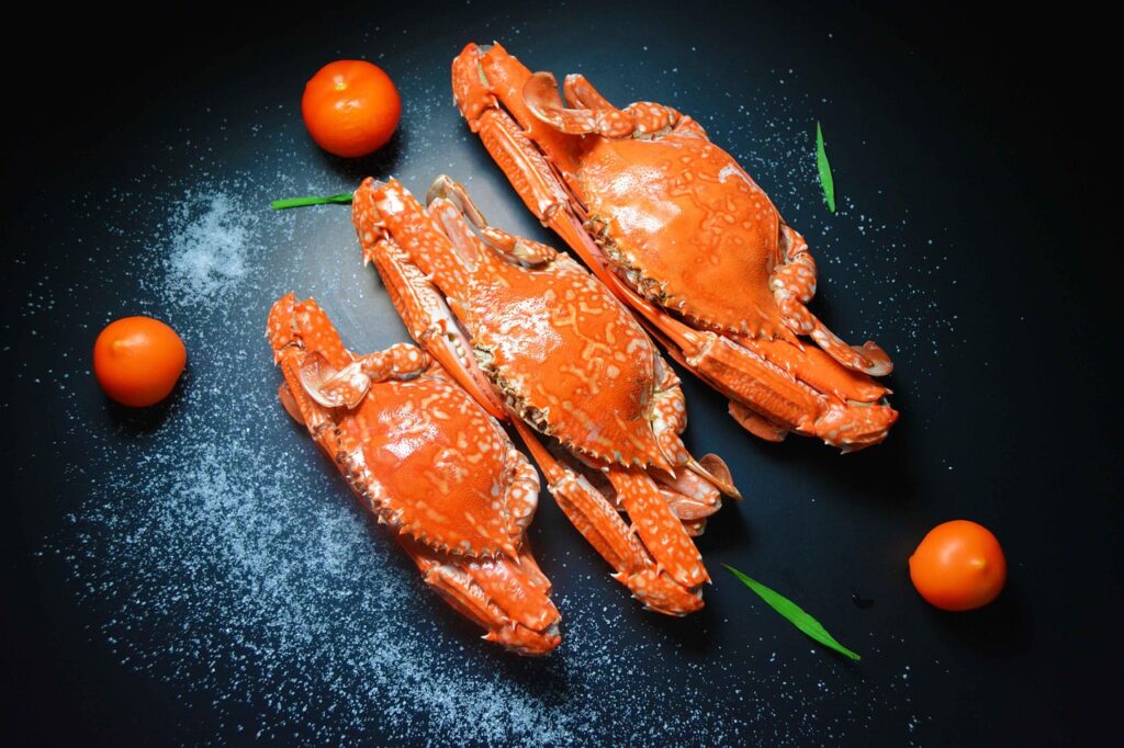 冷凍おせちを解凍後に再冷凍できるかの疑問にお答えしますか？