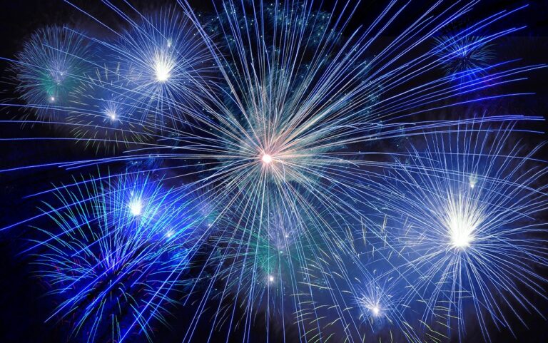 正月パーティで取り分け皿が足りない時の対策は？